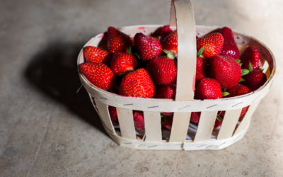 Les fraises sont de retour !